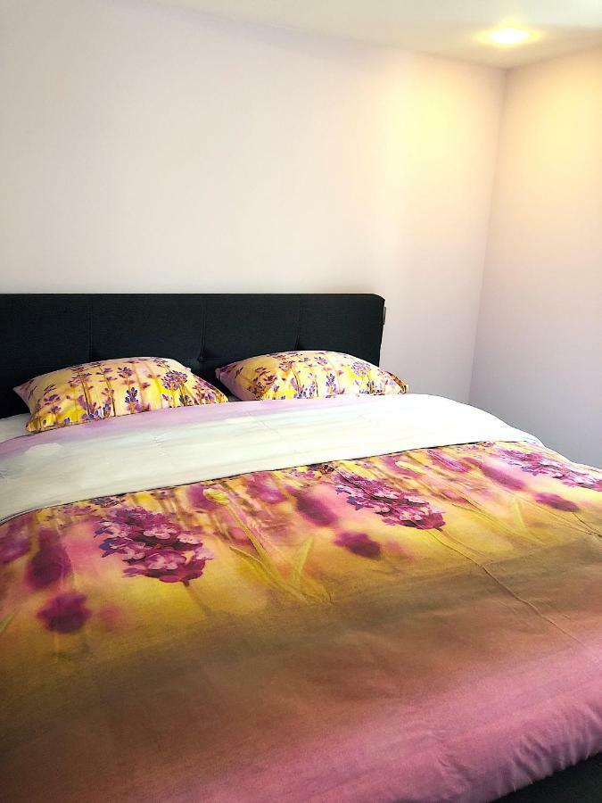 Apartment Cintra